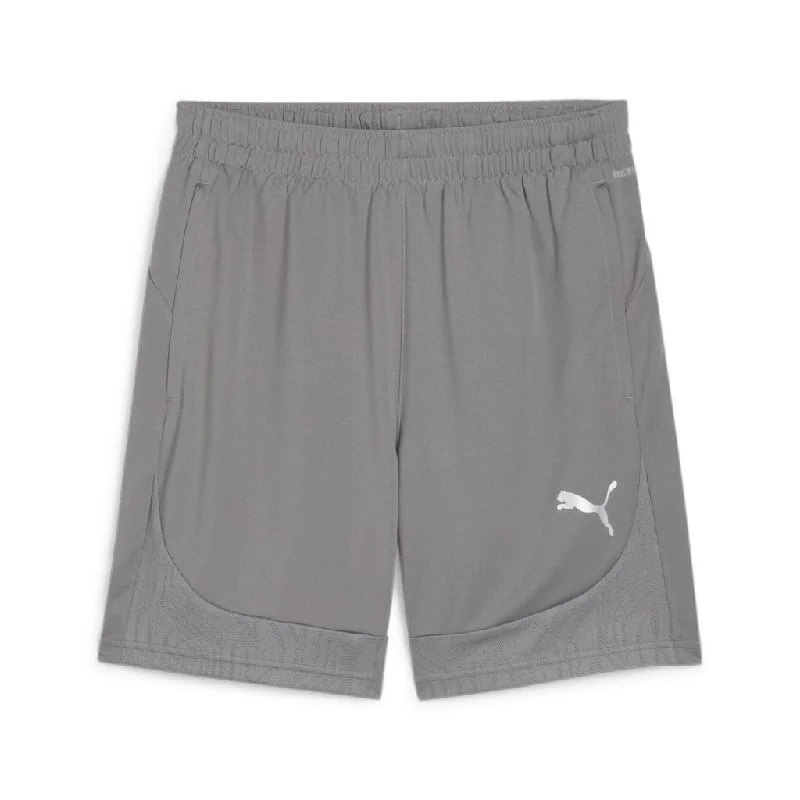 Puma Team Final Training Shorts