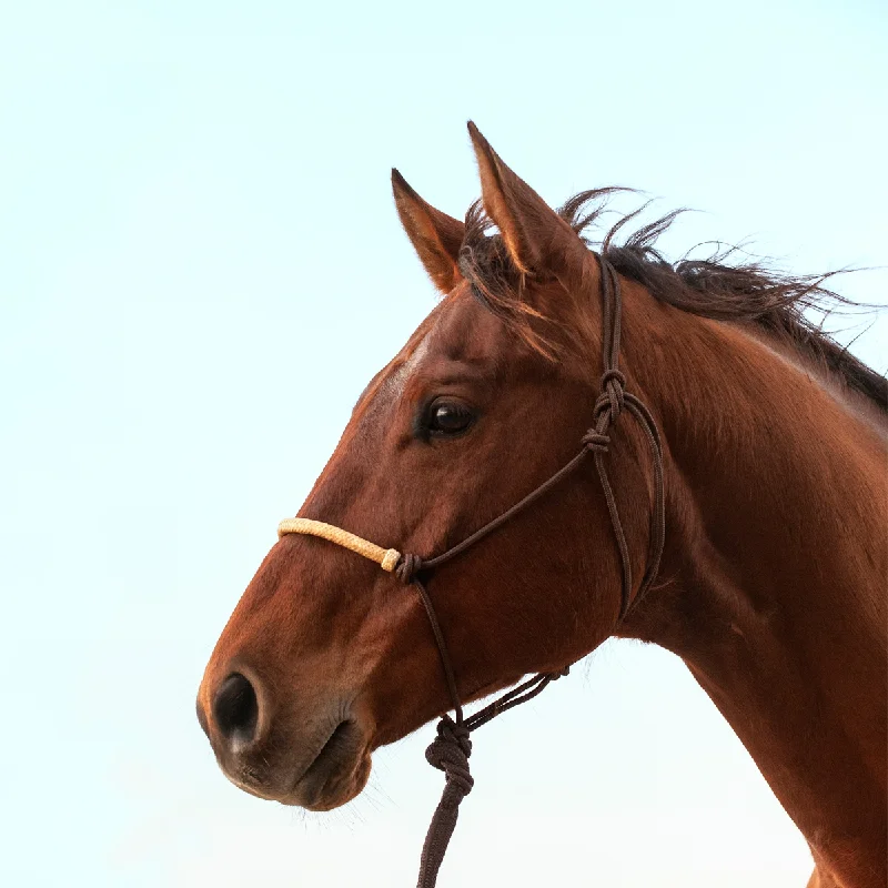 Braided Rawhide Rope Halter - Brown